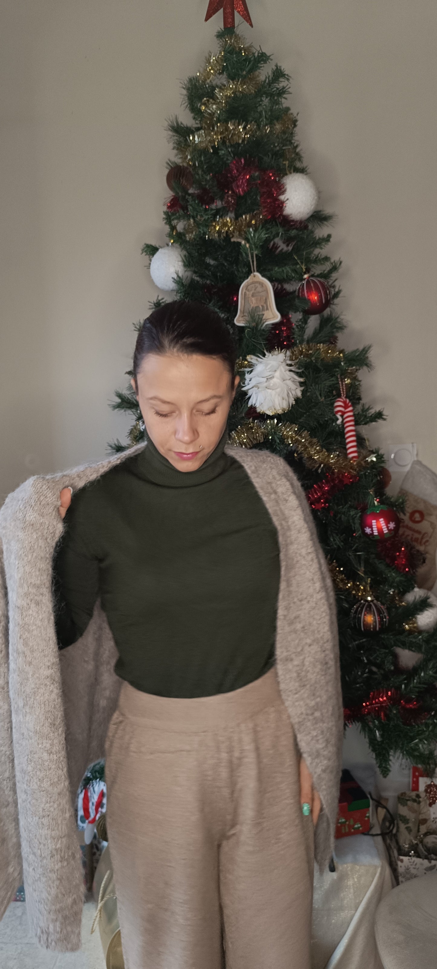 Pull col roulé plusieurs coloris