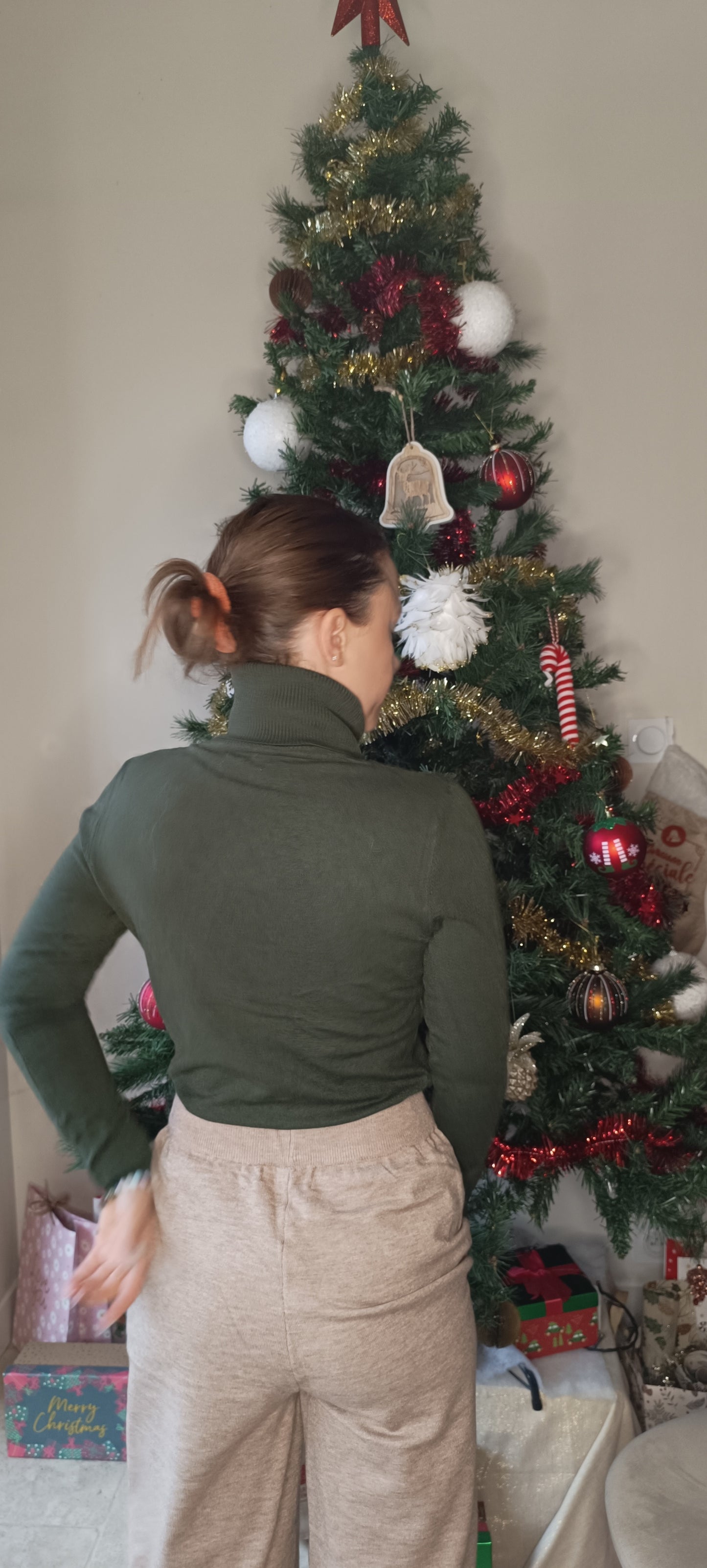 Pull col roulé plusieurs coloris