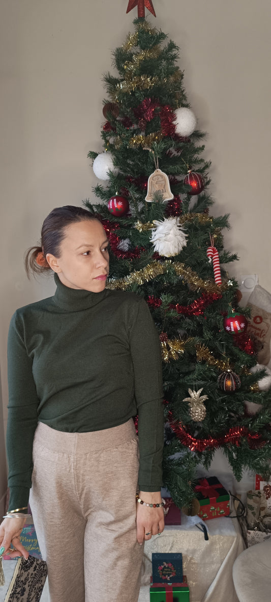 Pull col roulé plusieurs coloris