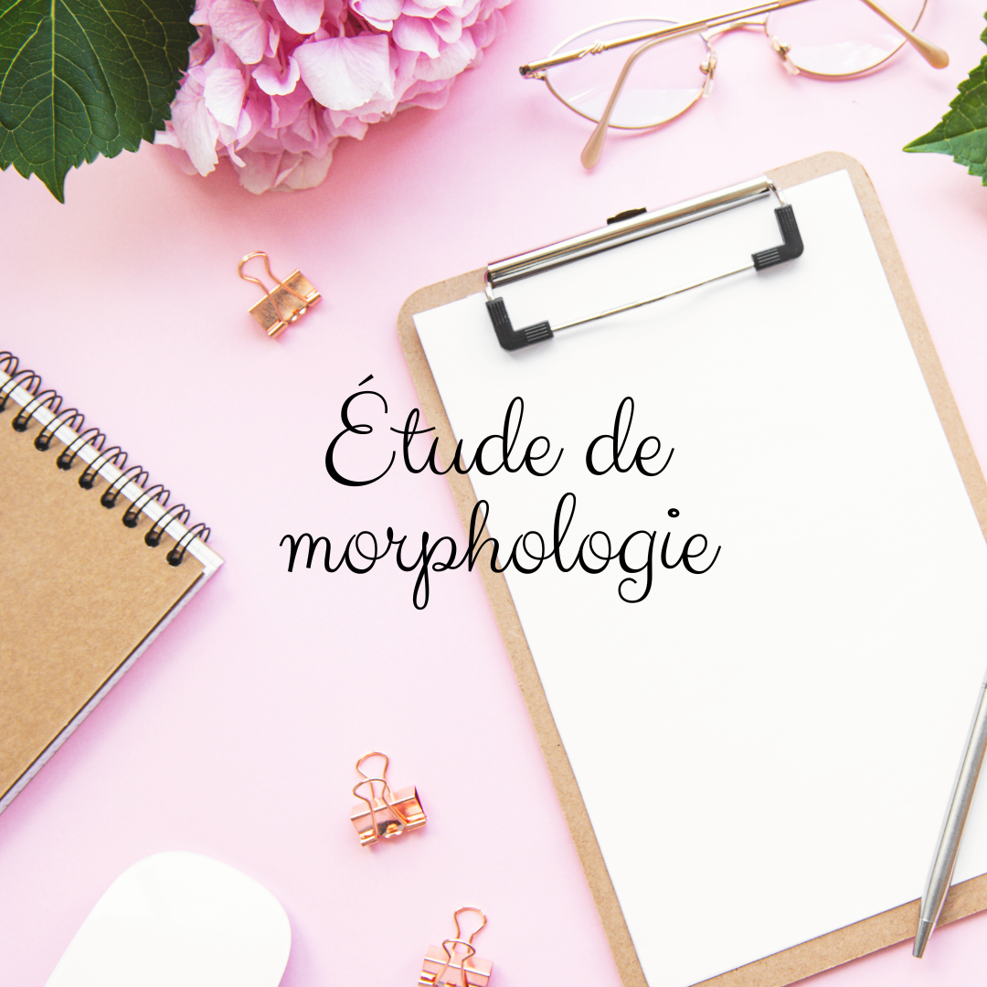 Etude de morphologie